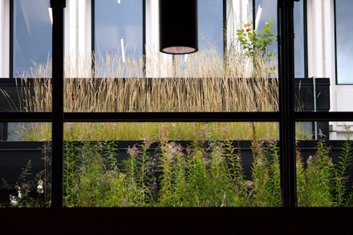 vitrier urgence Roubaix